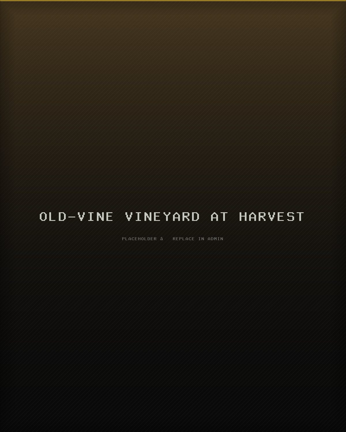 Old-vine vineyard at harvest