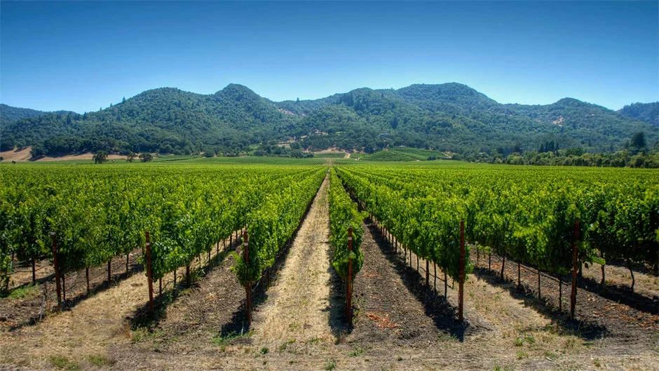 maipo